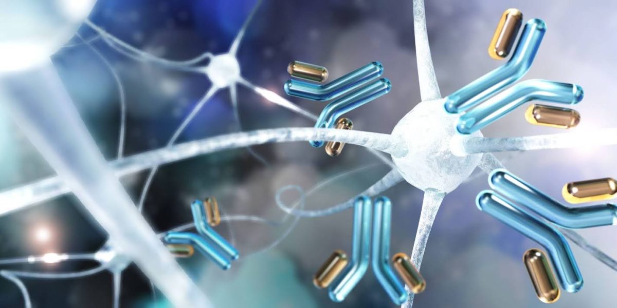 A Scientist's Guide to Immunogenicity Testing in Biologics